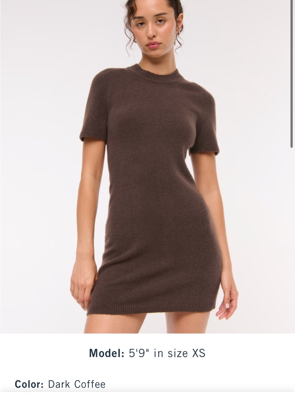 Abercrombie & Fitch Dark Coffee Short Sleeve Knit Mini Dress